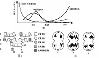 多基因遗传病(两对以上致病基因的累积效应所致的遗传病)