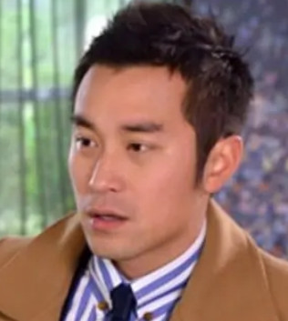 醉后决定爱上你(2011年陈铭章执导的电视剧)