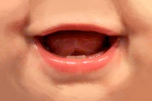 mouth(英语单词)