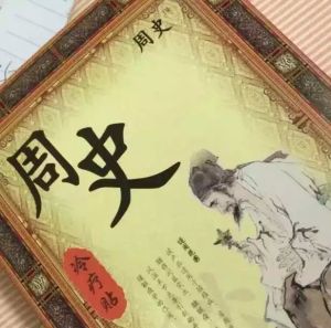 黑膏药(外用贴敷药)