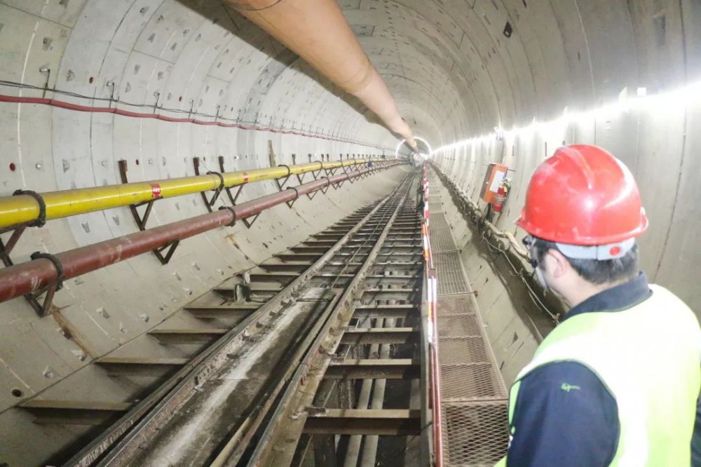 青岛地铁8号线(中国山东省青岛市境内城市轨道交通线路)