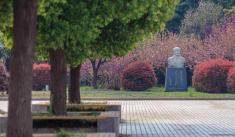 徐州医科大学(全日制本科高等院校)