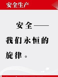 安全(社会学名词)