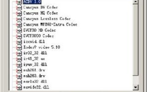视频解码器(综合接收解码器)