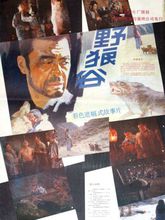 野狼谷(1989年谢钢主演内地电影)