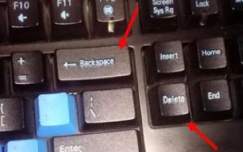 delete(编程语言)