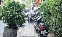 人行道(道路中专供行人通行的部分)