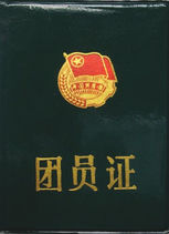 中国共产主义青年团章程(中国共产主义青年团贯彻落实党的精神和领导的行动纲领)