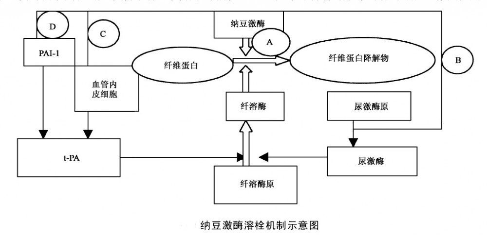 软件需求分析(分为功能性需求非功能性需求与设计约束)