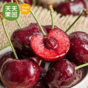 天天果园(国内新型生鲜零售企业)
