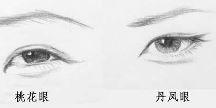 丹凤眼(凤眼的一种)