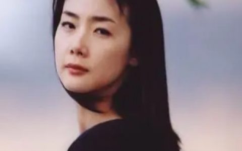 第101次求婚(2004年霍耀良执导的电视剧)