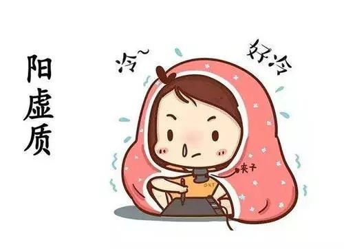 阳虚质(中医术语)