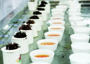 斗茶(中国茶文化的一种)