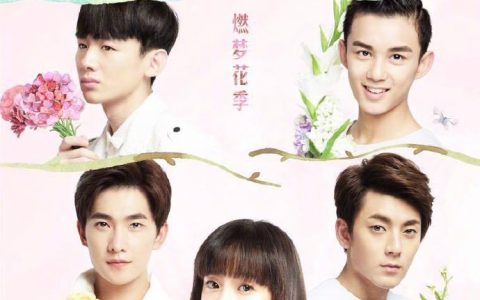 旋风少女(2015年胡冰卿、杨洋等主演电视剧)