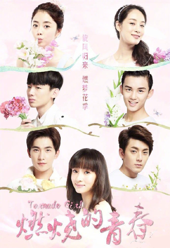 旋风少女(2015年胡冰卿、杨洋等主演电视剧)