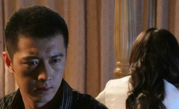 婚变(2009年刘新执导的电视剧)