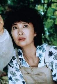 女人四十(中国1995年许鞍华执导的电影)