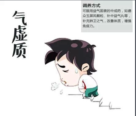 气虚质(肺脏功能和脾脏功能弱的体质)