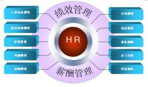 人力资源管理专业(中国普通高等学校本科专业)