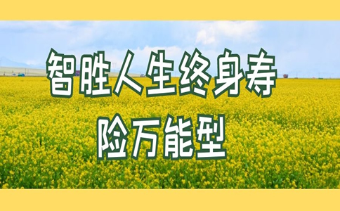 平安智胜人生终身寿险(中国平安保险旗下的险种)