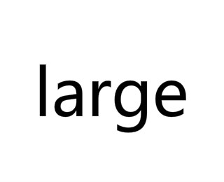 large(英文单词)