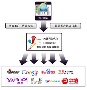 官方网站(权威性网站)