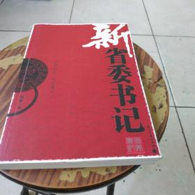 新省委书记(2009年花山文艺出版社出版图书)