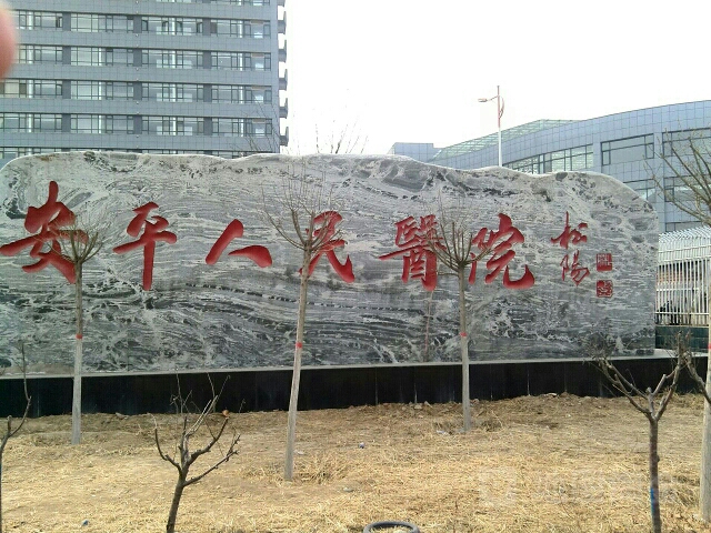 安平县(河北省衡水市辖县)