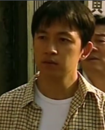 镇长(2007年范建会执导的电视剧)