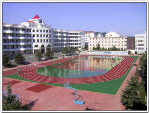 威海市实验中学(位于威海市的实验中学)