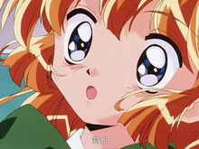 怪盗圣少女(日韩美少女动漫)
