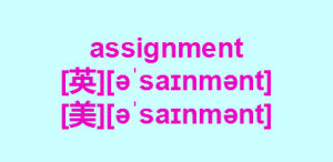 assignment(英语词汇)