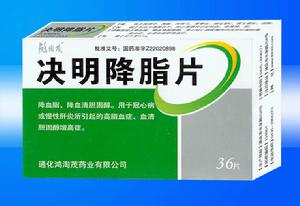国药准字(证明取得的药品生产资格的文件)