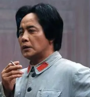 红色摇篮(2010年金稻导演的电视剧)