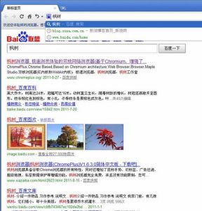 枫树浏览器(网页浏览器)