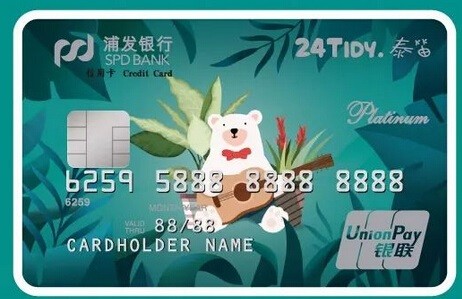浦发银行信用卡(标准双币Visa信用卡)