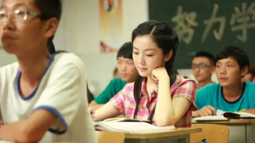 养女(2014年朱正执导的电视剧)