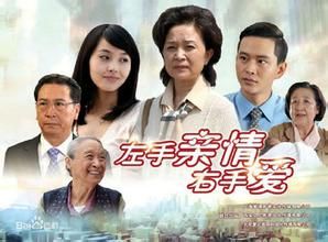 左手亲情右手爱(2013年周德华执导的电视剧)