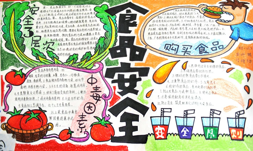 手抄报(手抄形式的报纸)