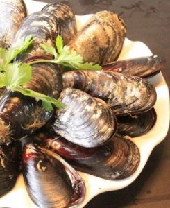 海贝(软体动物)