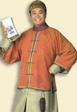 施公奇案(2006年林志华执导电视剧)