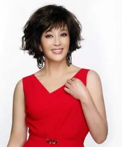 云袖(2010年王志强执导的电视剧)