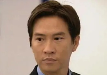 勇探实录(2001年林志华执导的电视剧)