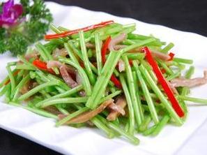 藜蒿(菊科蒿属野生植物)