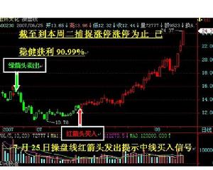 股票期权交易(金融学术语)