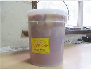 酵素桶(应用抗酸化（氧化）工法加工而成的塑料桶)