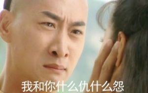 什么仇什么怨(网络流行词)