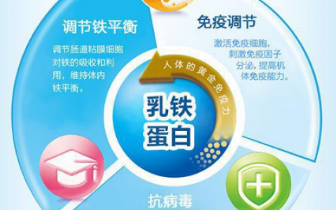 乳铁蛋白(1960年在母乳中发现的铁结合糖蛋白)