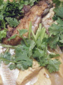 鲶鱼炖豆腐(由鲶鱼，豆腐，香菜制作)